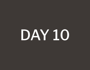 day 10