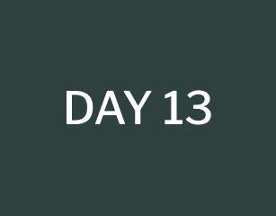 day 13