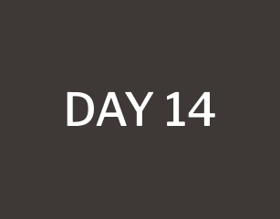day 14