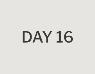 day 16