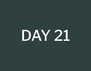 day 21