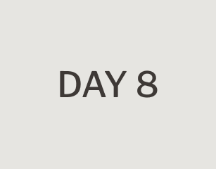 day 8