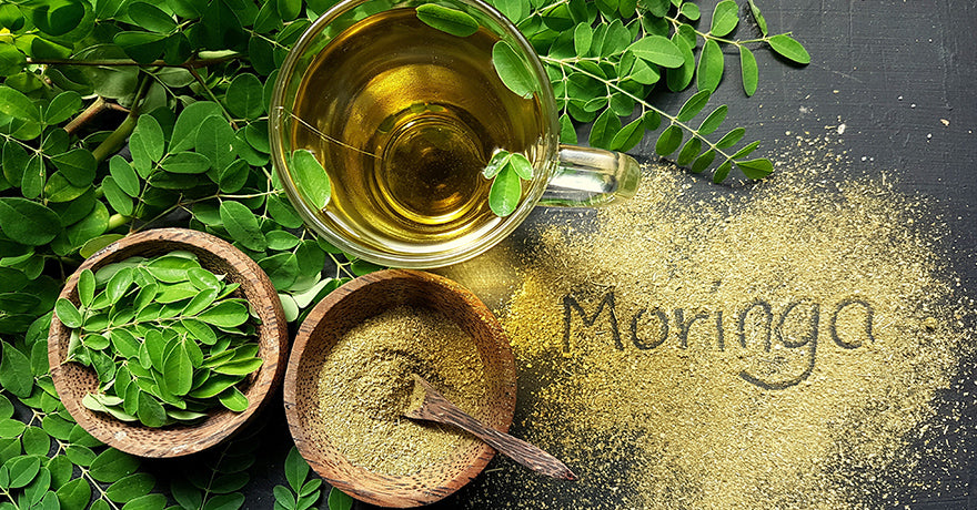 Drink Moringa Every Day to Experience These Nine Benefits