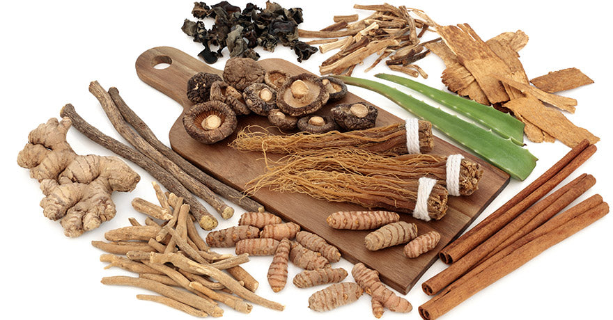 Adaptogens for Peak Fitness and Recovery