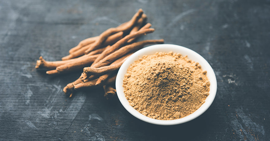 Everything You Need to Know About Adaptogens
