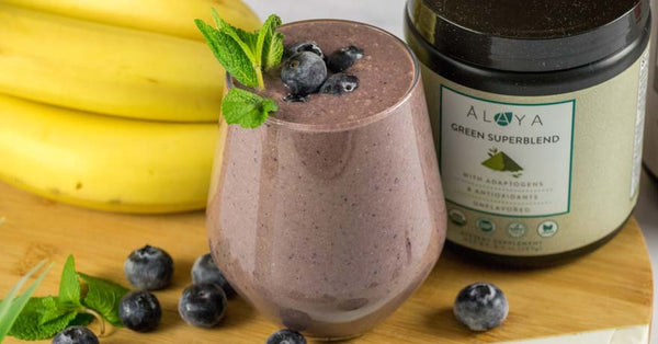 Berry Banana Recovery Protein Shake - Alaya Naturals