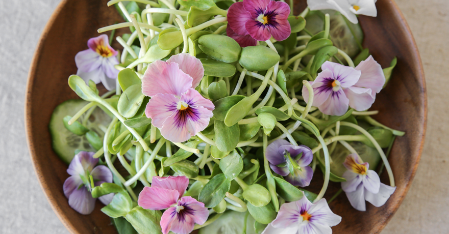 A Guide to Edible Flowers