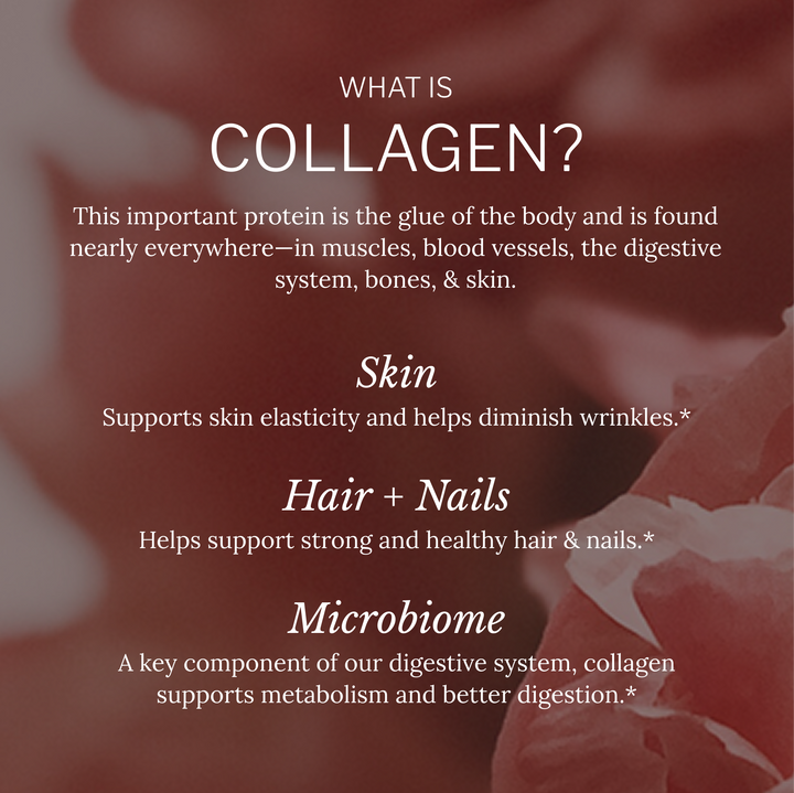 Multi Collagen Capsules