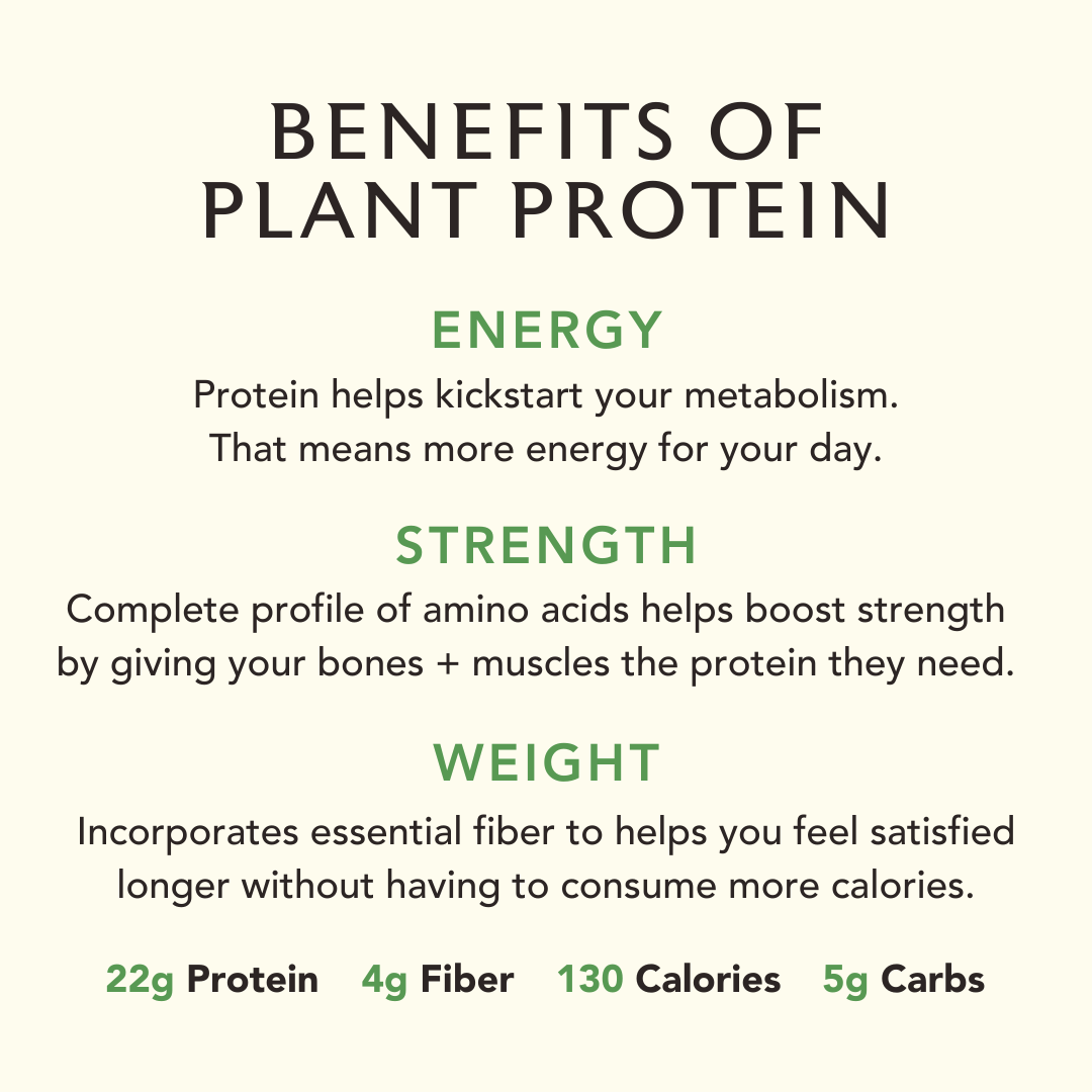 Protein Supplements